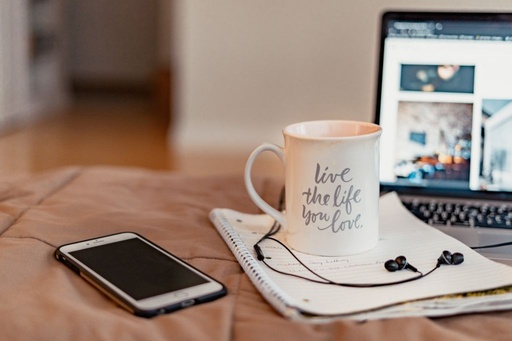 Pelatihan Bisnis Online